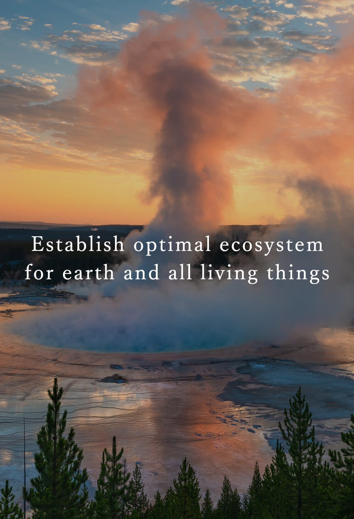 地球と全生物に最適なエコシステムを確立する