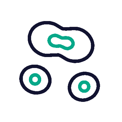 Natural Tech Icon